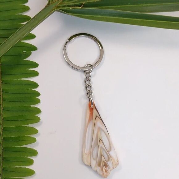 Seashell Keyring Slice Conch Seashell Clearwater Beach, Florida - Picture 8 of 15